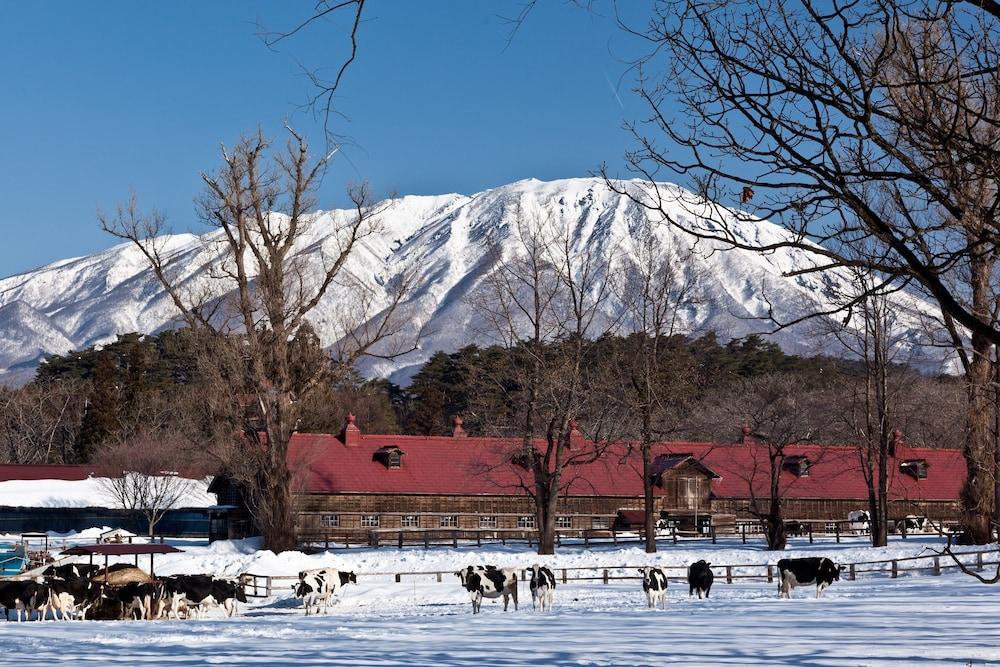 Kyukamura Iwate-Amiharionsen Shizukuishi Exteriér fotografie